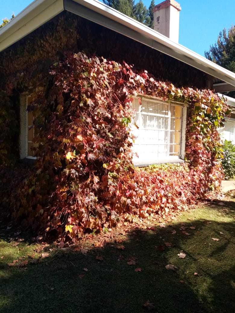 3 Bedroom Property for Sale in Hogsback Eastern Cape